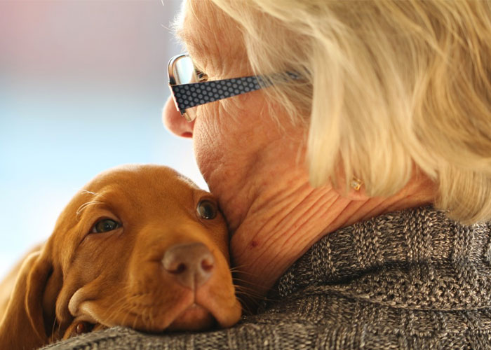Cute puppy snuggles the shoulder of a senior woman - pets for seniors
