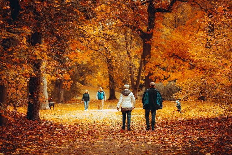 Fun Autumn Holidays to Celebrate with Your Senior Loved Ones - Beautiful autumn leaves surround the walking seniors in a large open park